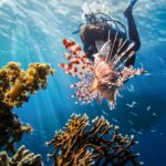 diving in curacao