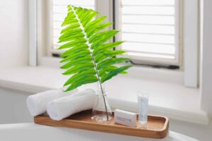 Kura-Botanica-Hotel-rooms-701